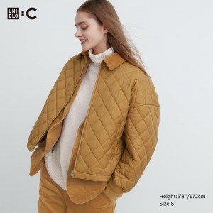 UNIQLO Warm Padded Blouson Brown | WJYOKBN-67